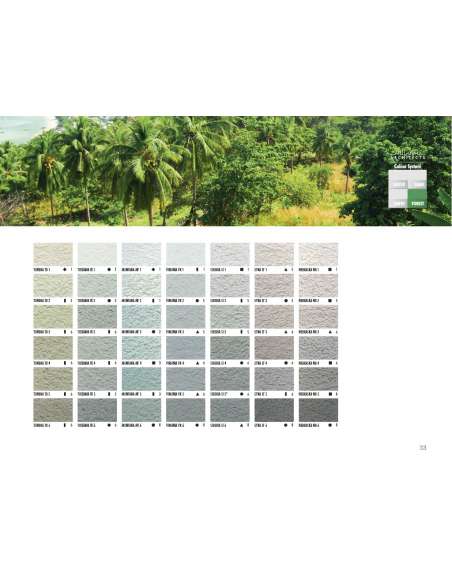 Ceresit CT 74 Silicone plaster stone texture